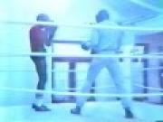Boxing 1982